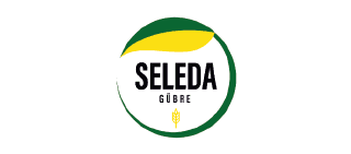 sereda logo
